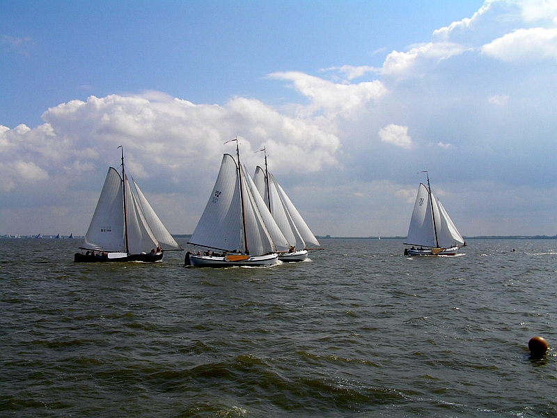 Lemsteraak_Ahoy2008 (10).jpg